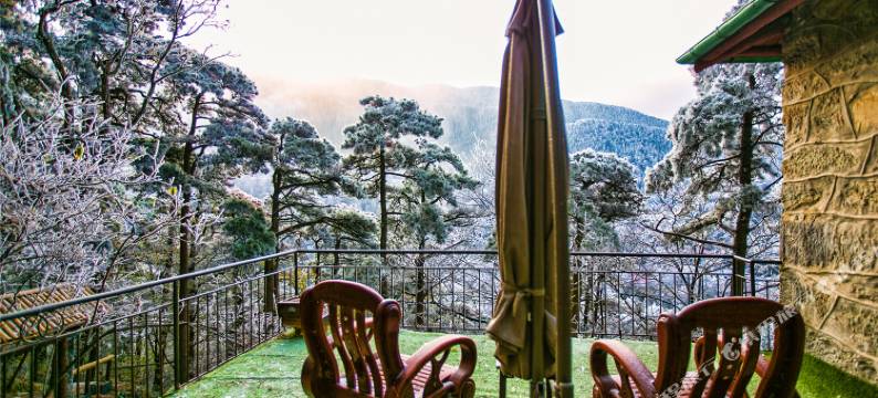 庐山忆庐民宿图片