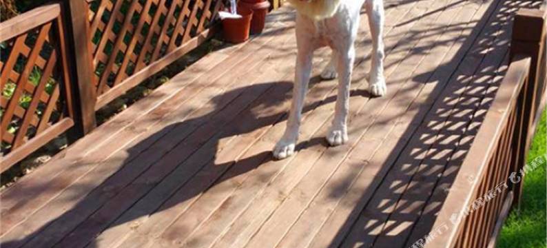 梦想de房子(上海顾村公园店)图片