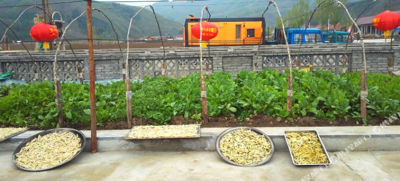 宽甸明月农家院图片