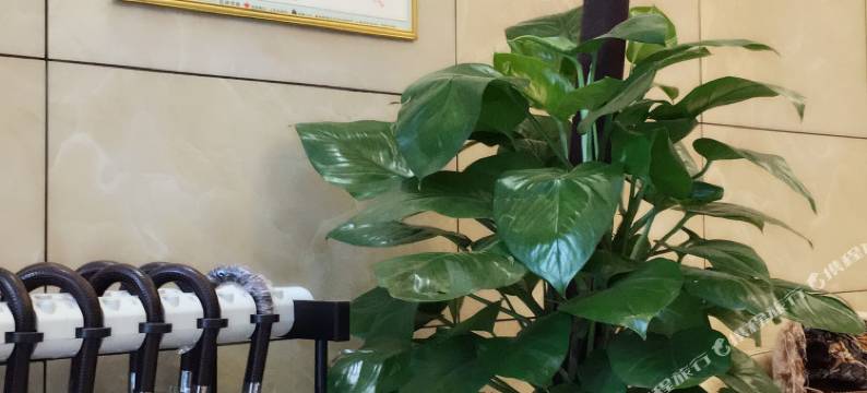 东方假日酒店(黔西市人民医院水西公园店)图片