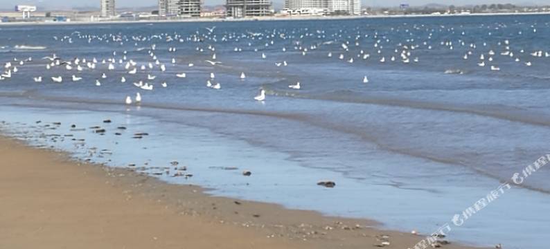 东戴河幸福港湾海景公寓图片