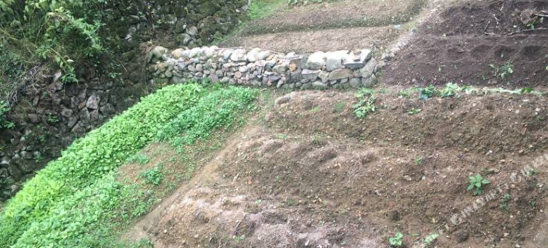 松阳移居民宿图片