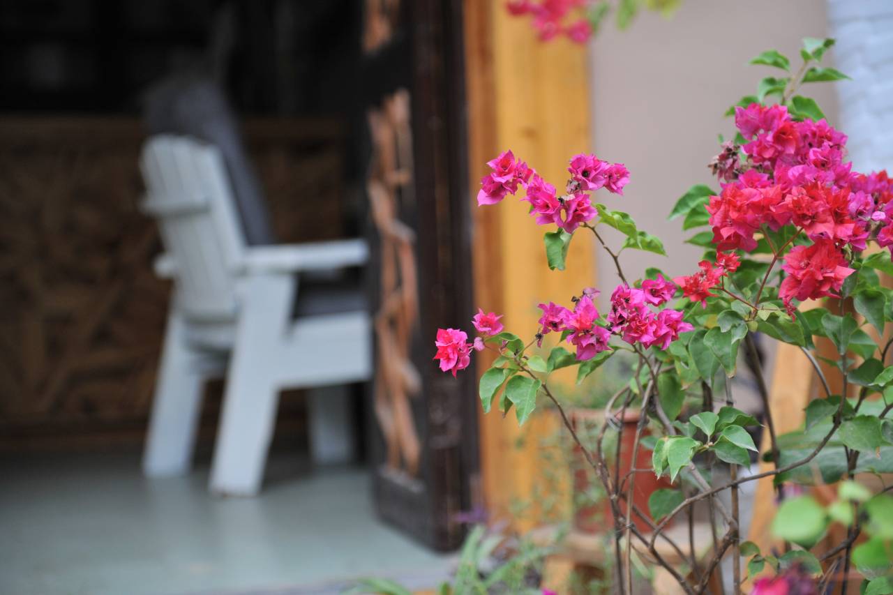 春暖花开东院(阳朔西街店)图片