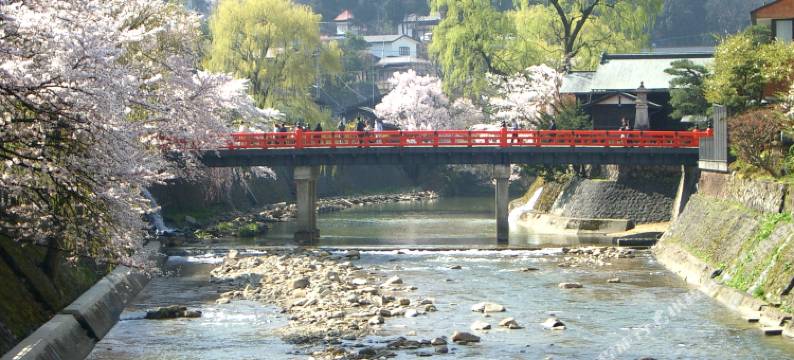 桑谷屋民宿日式旅馆(Minshuku Kuwataniya)图片