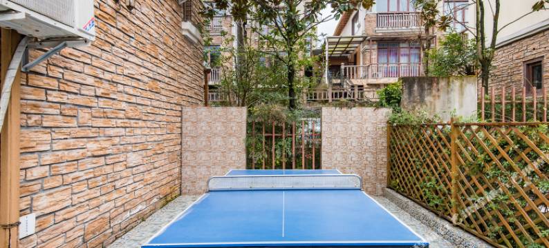 大邑王山雨雪霏扉别墅图片