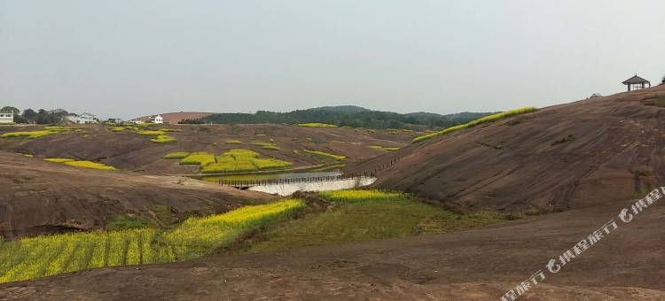 7天优品酒店(安仁大道店)图片