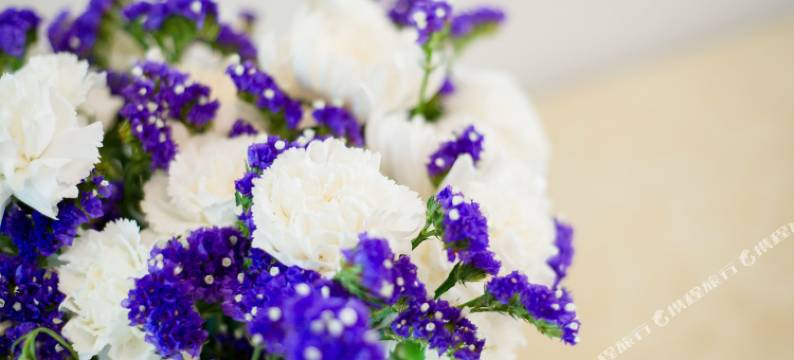 深圳比邻莲花山公园温馨安静民宿图片