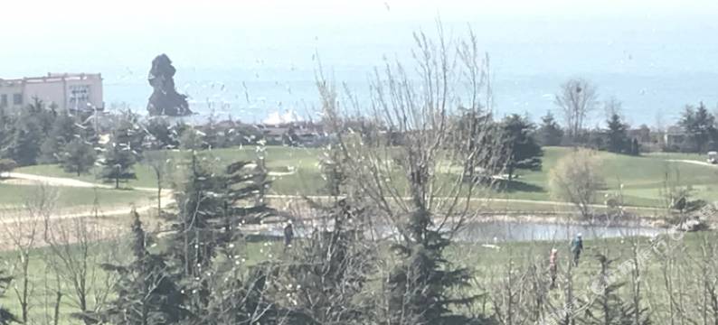 青岛有水地方公寓图片