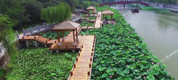 鸿宝大酒店(许昌曹魏古城胖东来时代广场店)图片