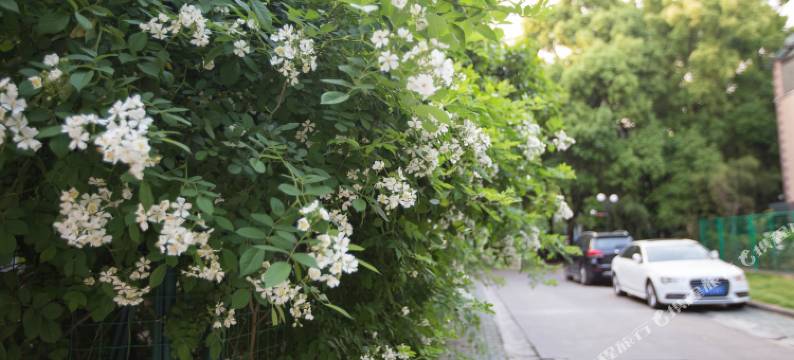 上海都市慢时光度假别墅图片