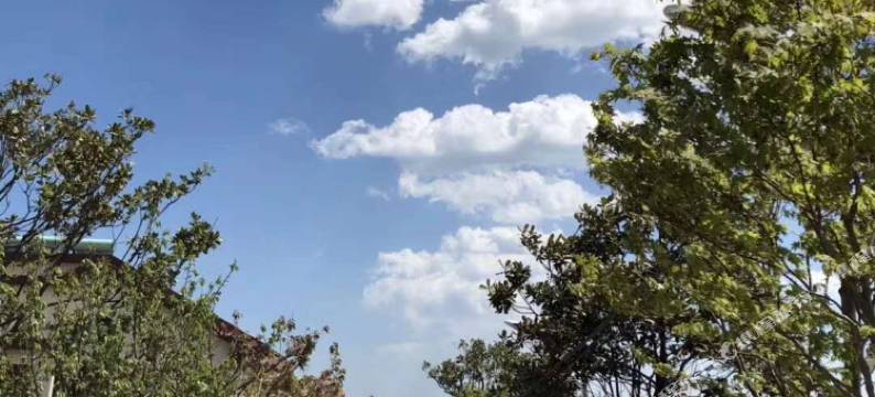 青岛渔夫香园美宿图片