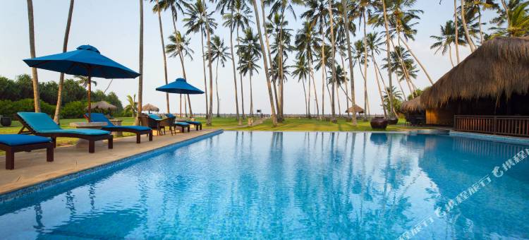 礁别墅及水疗中心酒店(Reef Villa)图片