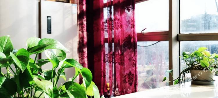 成都凯立可酒店图片