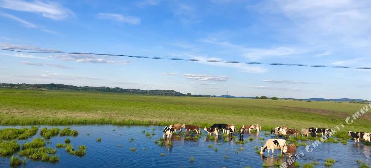 坝上悦诗小栈图片
