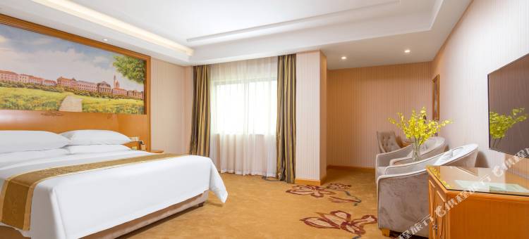 维也纳酒店(广州增城万达广场店)图片