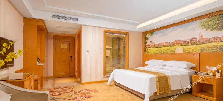 维也纳酒店(广州增城万达广场店)图片