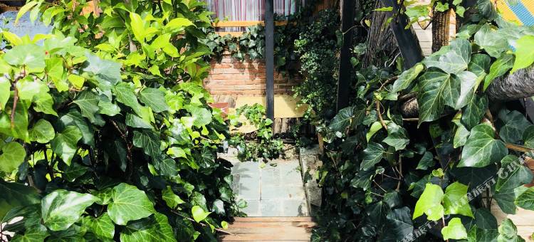 丽江粤心客栈图片