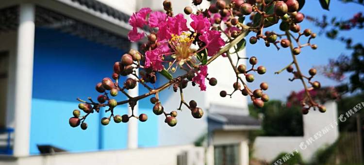 苏州蔽月山房民宿图片