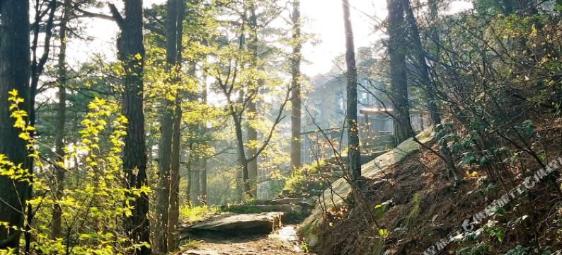 庐山忆庐民宿图片