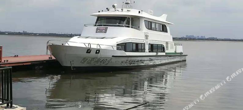 莲花岛·隐图片