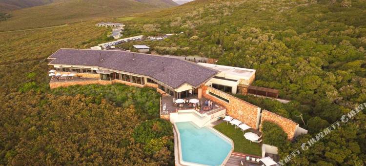大森林私人自然保护区酒店(Grootbos Private Nature Reserve)图片