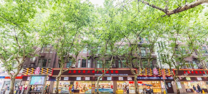 上海途掌柜堂舍精品民宿图片