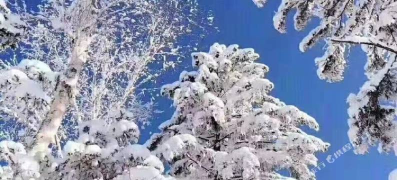 雪乡张安勇家庭旅馆图片