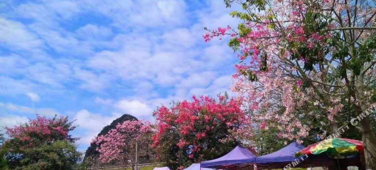 尚客优连锁酒店(靖西财富广场店)图片