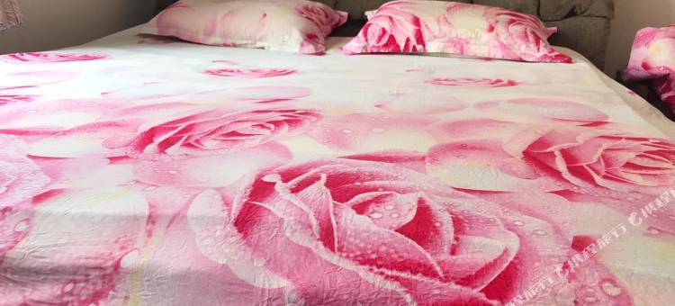 北京流浪猫581588公寓图片