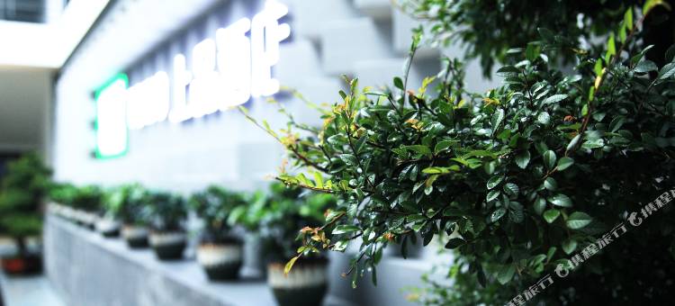 TOWO上品酒店(神农架木鱼镇汽车站店)图片