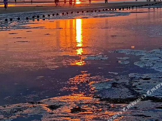 绥中张斯淇的公寓