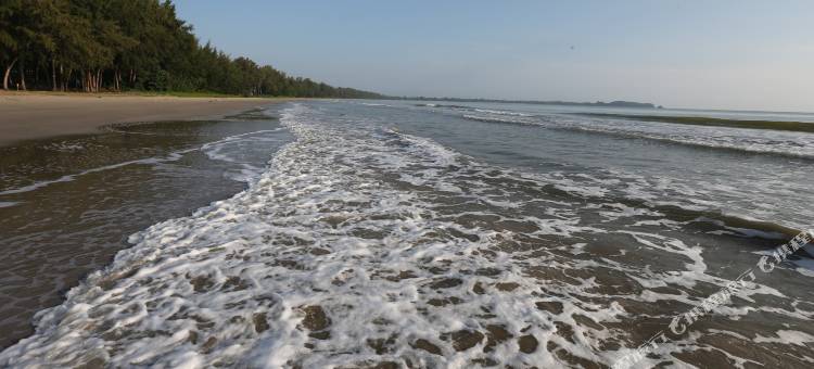 安默拉尔德度假村酒店(Amerald Resort Hotel Desaru)图片