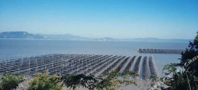 福鼎安然小宿图片