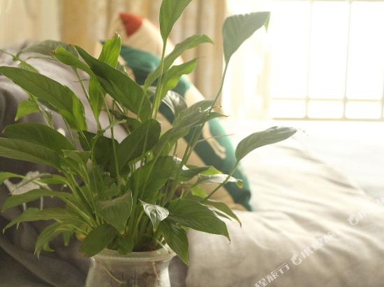 江苏民宿(镇江黄山西路店)