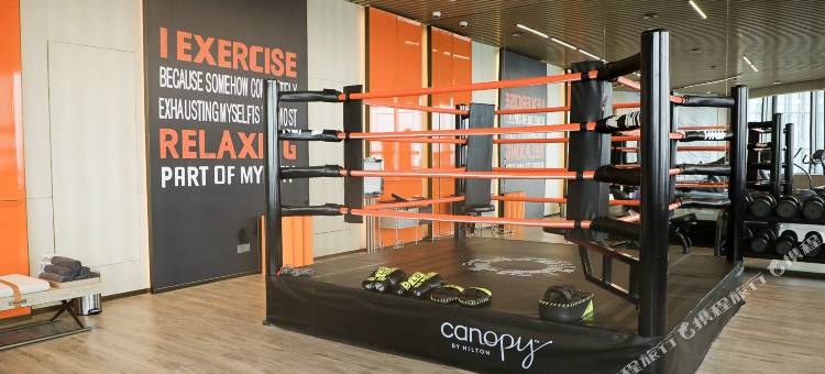 成都领地希尔顿嘉悦里酒店图片