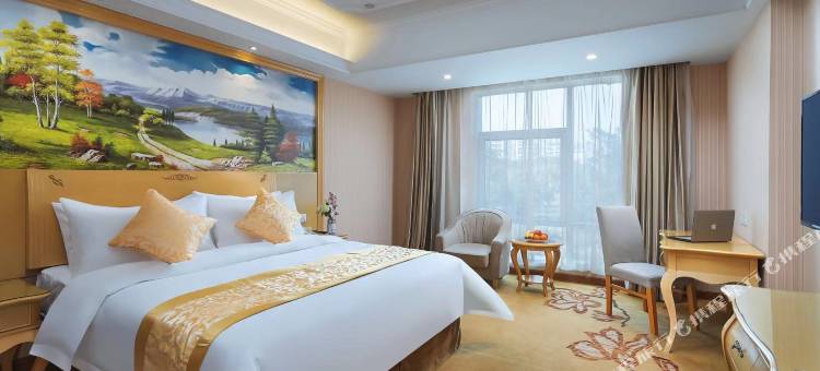 维也纳酒店(南京奥体中心店)图片