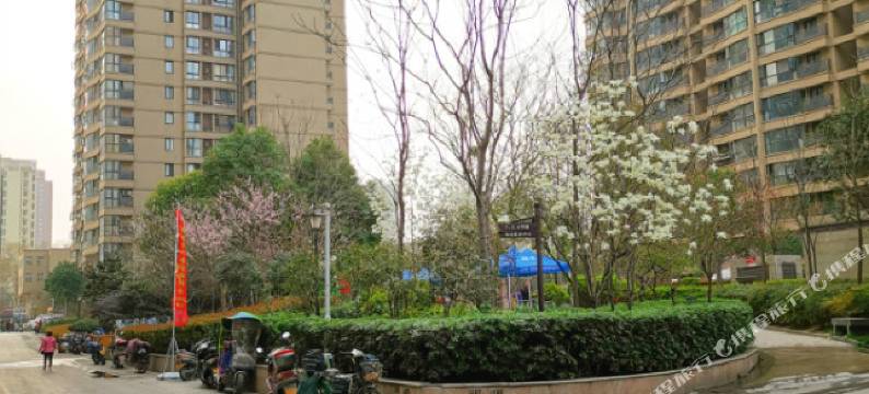 郑州琉璃苣青年旅社图片