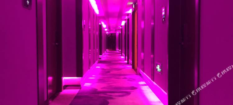 台州1981酒店(交通路店)图片