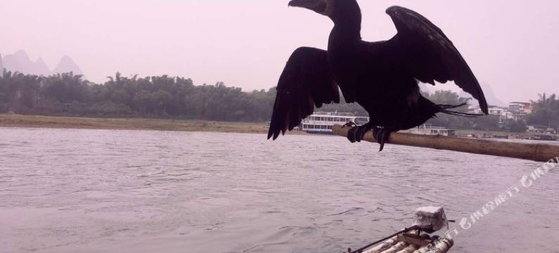 桂林倩倩Little House公寓图片