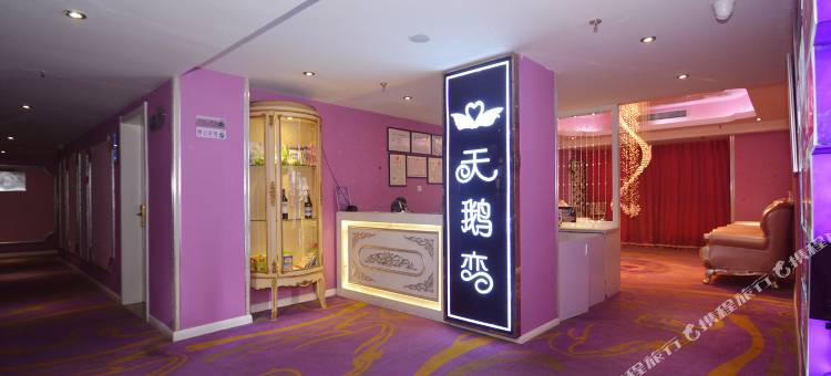 天鹅恋情侣主题酒店(郑州二七万达店)图片