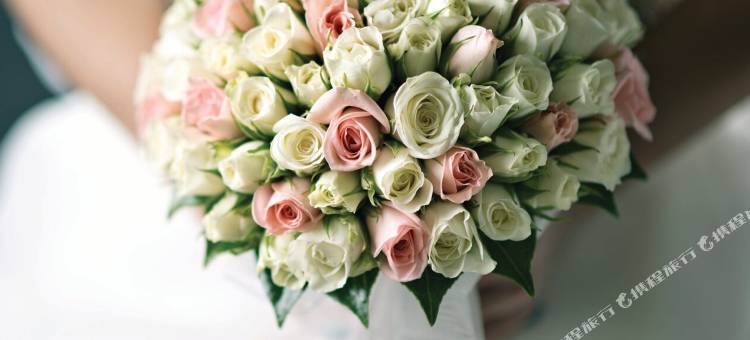 Fairfield Inn & Suites Houston Missouri City图片