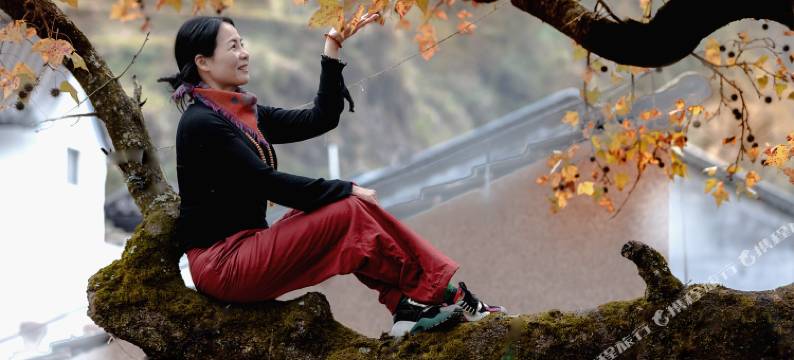 永嘉红枫缘民宿图片