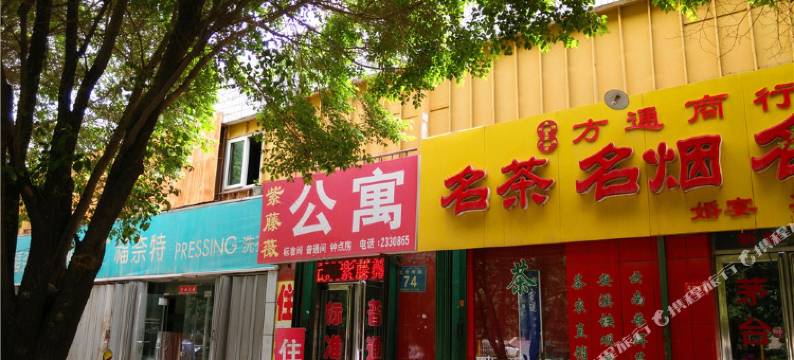 昌吉紫藤薇公寓图片