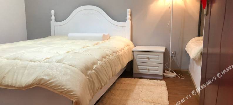 成都王师公寓(2号店)图片