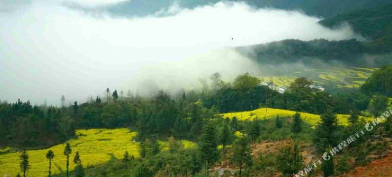 婺源岭上农家客馆图片