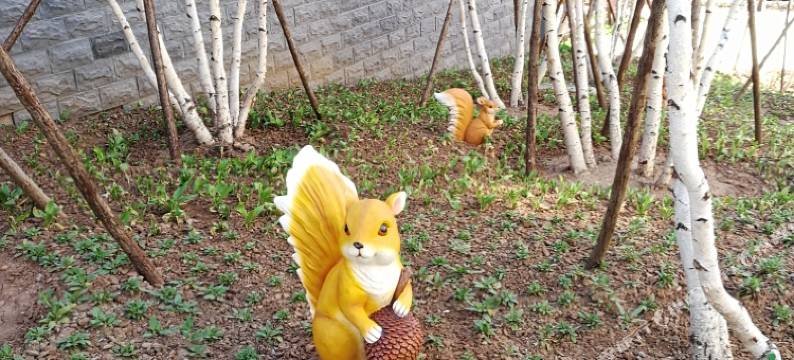 北京星月山居半山墅(古北口水镇景区店)图片