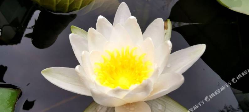 杭州壑雷亭外民宿图片