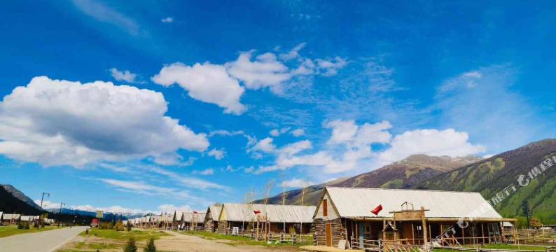 喀纳斯百合山庄图片