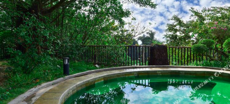 广州碧桂园金叶子温泉度假酒店(白水寨店)图片