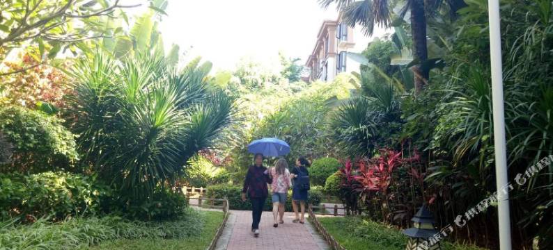 西双版纳海鹰公寓(棕榈路分店)图片